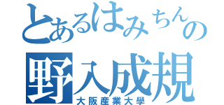 とあるはみちんの野入成規（大阪産業大學）