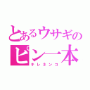 とあるウサギのピン一本（キレネンコ）