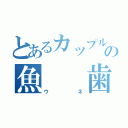 とあるカップルの魚　　歯茎（ウネ）