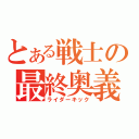 とある戦士の最終奥義（ライダーキック）