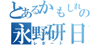 とあるかもしれないの永野研日記（レポート）