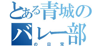 とある青城のバレー部（の日常）