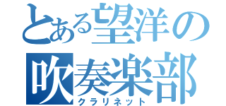 とある望洋の吹奏楽部（クラリネット）