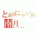 とあるにゃんこの南月（なっちゃん）