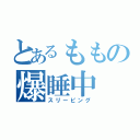 とあるももの爆睡中（スリーピング）