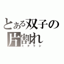 とある双子の片割れ（ミタラシ）