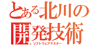 とある北川の開発技術（ソフトウェアマスター）