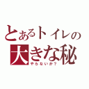 とあるトイレの大きな秘密（やらないか？）