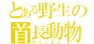 とある野生の首長動物（キリンさん）