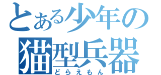 とある少年の猫型兵器（どらえもん）