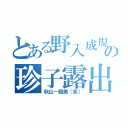 とある野入成規の珍子露出（秋山－鐵美（笑））