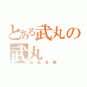 とある武丸の武丸（会話器機）