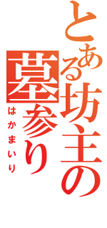 とある坊主の墓参り（はかまいり）