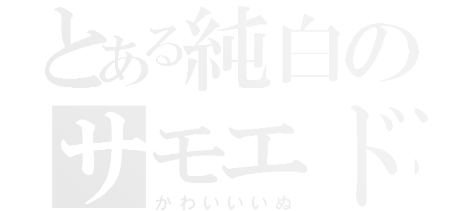 とある純白のサモエド（かわいいいぬ）