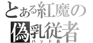 とある紅魔の偽乳従者（パッド長）