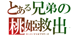 とある兄弟の桃姫救出（スーパーマリオブラザーズ）