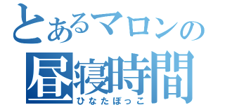 とあるマロンの昼寝時間（ひなたぼっこ）