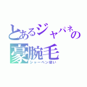 とあるジャパネットの豪腕毛（シャーペン使い）