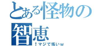 とある怪物の智恵（↑マジで怖いｗ）