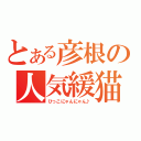 とある彦根の人気緩猫（ひっこにゃんにゃん♪）