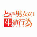 とある男女の生殖行為（セックス）