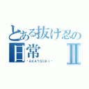 とある抜け忍の日常Ⅱ（〜ＡＫＡＴＳＵＫＩ〜）