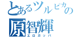 とあるツルピカの原智輝（エロガッパ）