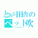 とある田舎のペット吹き（Ｔｒｕｍｐｅｔ）