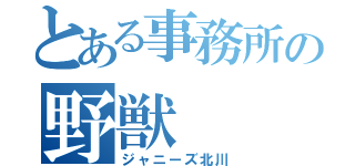 とある事務所の野獣（ジャニーズ北川）