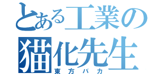 とある工業の猫化先生（東方バカ）