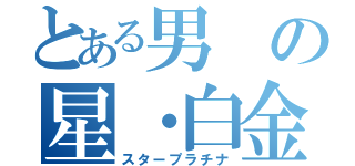 とある男の星・白金（スタープラチナ）