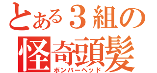 とある３組の怪奇頭髪（ボンバーヘッド）