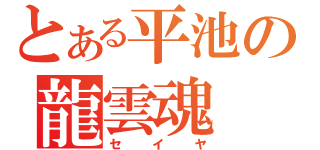 とある平池の龍雲魂（セイヤ）