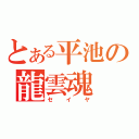 とある平池の龍雲魂（セイヤ）