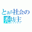 とある社会の禿坊主（ハゲアタマ）