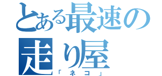 とある最速の走り屋（「ネコ」）