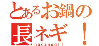 とあるお鍋の長ネギ！（ｎａｇａｎｅｇｉ！）