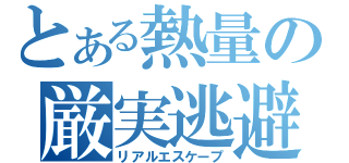 とある熱量の厳実逃避（リアルエスケープ）