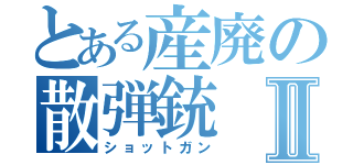 とある産廃の散弾銃Ⅱ（ショットガン）