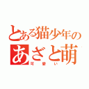 とある猫少年のあざと萌（可愛い）