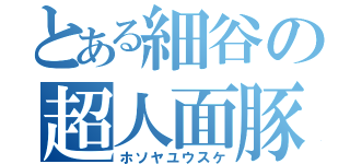 とある細谷の超人面豚（ホソヤユウスケ）