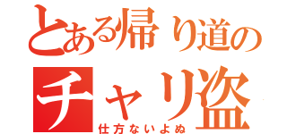 とある帰り道のチャリ盗難（仕方ないよぬ）