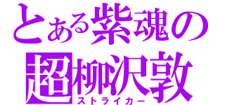 とある紫魂の超柳沢敦（ストライカー）