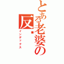 とある老婆の反擊（インデックス）