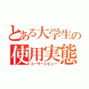 とある大学生の使用実態（ユーザーレビュー）