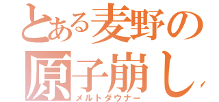 とある麦野の原子崩し（メルトダウナー）