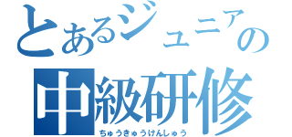 とあるジュニアの中級研修会（ちゅうきゅうけんしゅう）