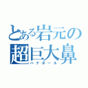 とある岩元の超巨大鼻（ハナボール）