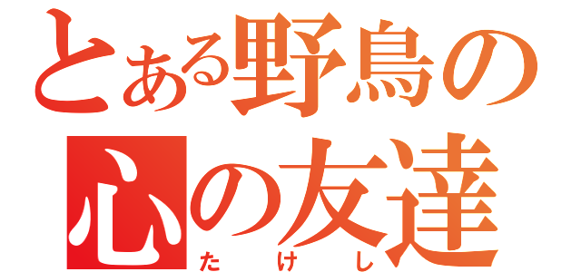 とある野鳥の心の友達（たけし）