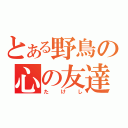 とある野鳥の心の友達（たけし）